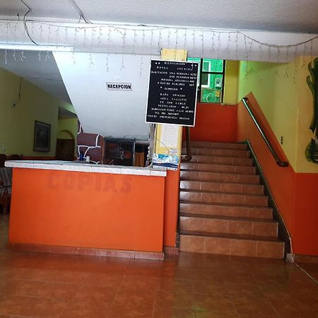 Hotel Avenida 图斯特拉古铁雷斯 外观 照片